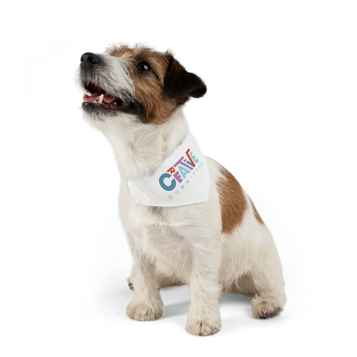 Creative Committee Pet Bandana